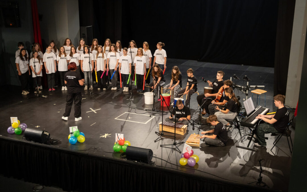 Druga nagrada na 8. Festivalu dječjeg glazbenog stvaralaštva