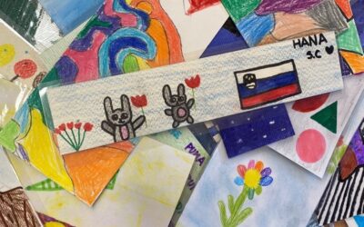 Međunarodna razmjena straničnika