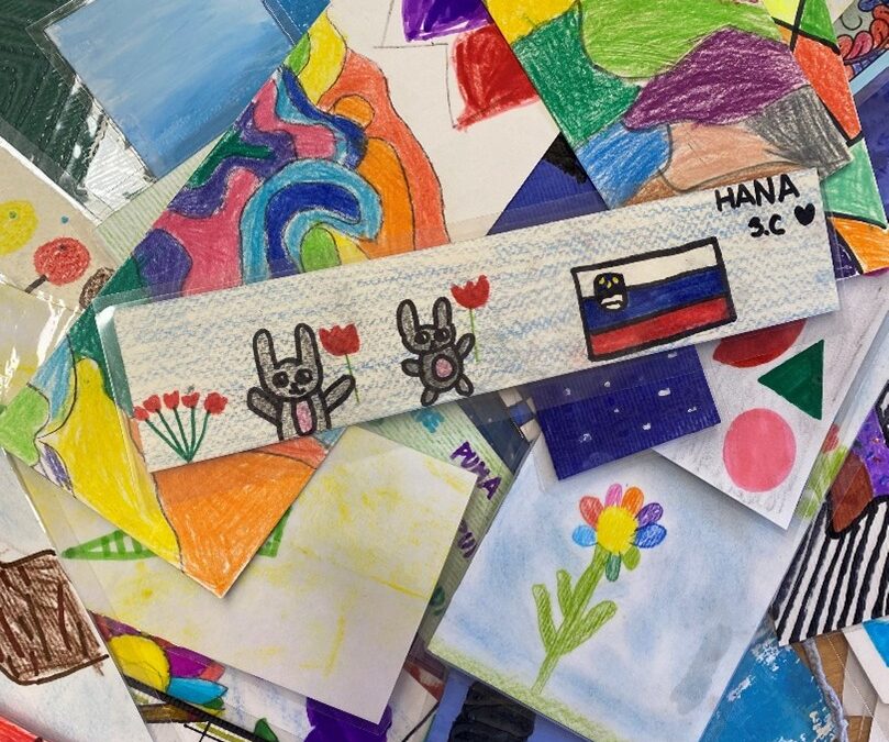 Međunarodna razmjena straničnika