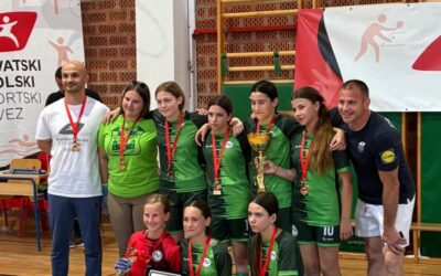 VENI VIDI VInkovCI! Osnovna škola Brezovica ima državne prvakinje u futsalu!