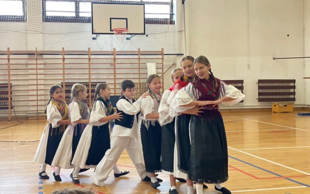 FOLKLORNI KONCERT U OŠ BREZOVICA