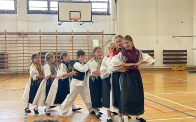 FOLKLORNI KONCERT U OŠ BREZOVICA